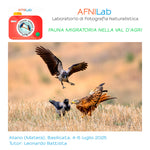 Fauna migratoria nella Val d'Agri